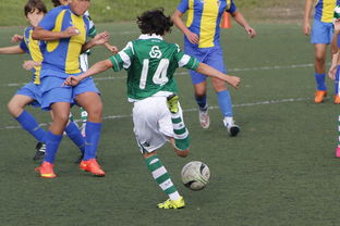 开云官方-新星崛起：季后赛中的逆转奇迹！，新星崛起什么意思